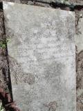 image number PA0511
